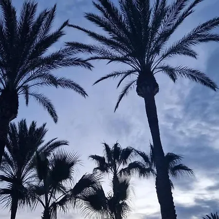 Lägenhet Modern Close To Cabopino & Harbour *