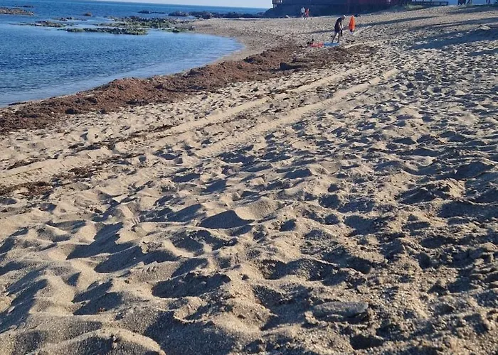 Appartamento Modern Close To Cabopino & Harbour Marbella